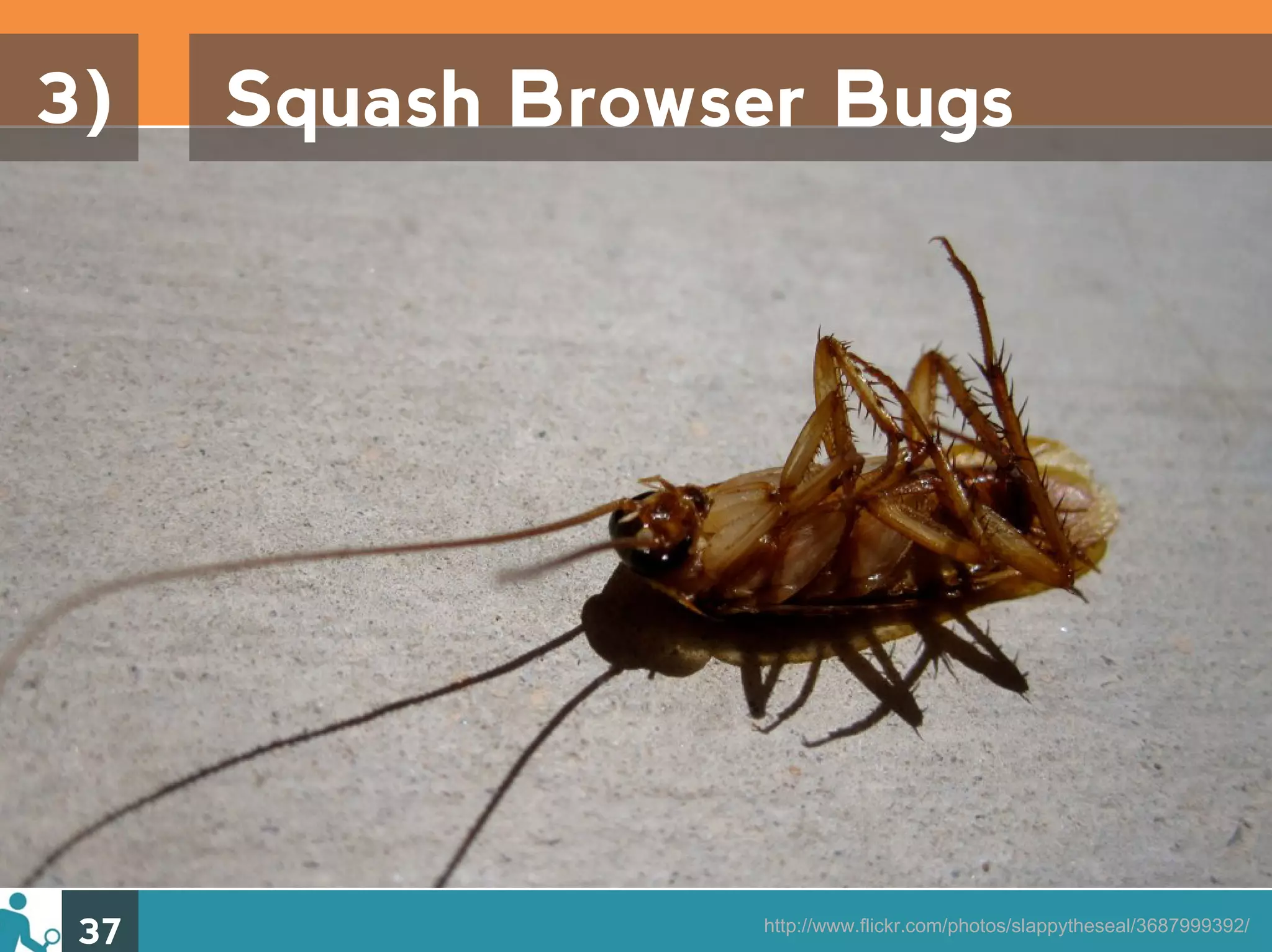 3)    Squash Browser Bugs




 37               http://www.flickr.com/photos/slappytheseal/3687999392/
 