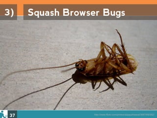 3)    Squash Browser Bugs




 37               http://www.flickr.com/photos/slappytheseal/3687999392/
 