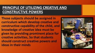 Comprehensive Overview of Curriculum: Principles, Components, and ...