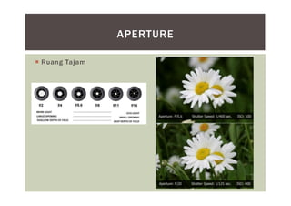  Ruang Tajam
APERTURE
 