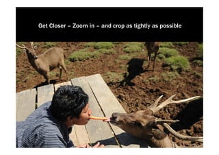 Get Closer – Zoom in – and crop as tightly as possible
 
