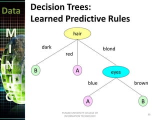 Data
M
I
N
I
G
Decision Trees:
Learned Predictive Rules
hair
eyesB
B
A
A
dark
red
blond
blue brown
30
PUNJAB UNIVERSITY COLLEGE OF
INFORMATION TECHNOLOGY
 