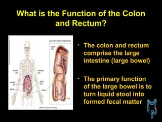 Stool Function Knowing Cancer of Colon | PPT