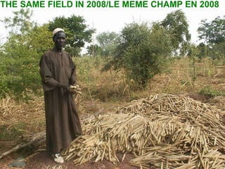 THE SAME FIELD IN 2008/LE MEME CHAMP EN 2008