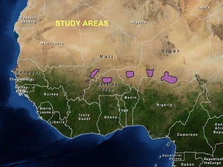 STUDY AREAS