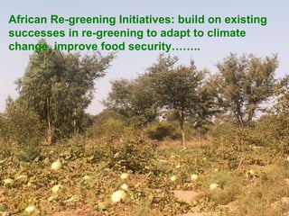 African Re-greening Initiatives: build on existing successes in re-greening to adapt to climate change, improve food security……..