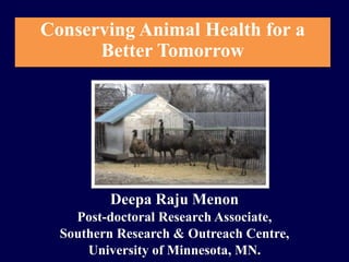 Conserving Animal Health for a
Better Tomorrow
Deepa Raju Menon
Post-doctoral Research Associate,
Southern Research & Outreach Centre,
University of Minnesota, MN.
 