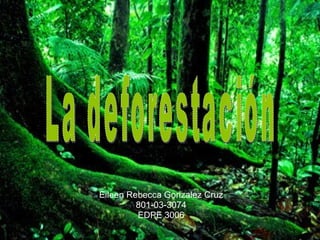 Eileen Rebecca Gonzalez Cruz 801-03-3074 EDPE 3006 La deforestación 