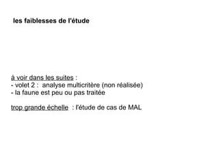 les faiblesses de l'étude 
à voir dans les suites :
- volet 2 : analyse multicritère (non réalisée)
- la faune est peu ou pas traitée
trop grande échelle : l'étude de cas de MAL
 