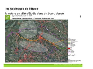 les faiblesses de l'étude 
la nature en ville s'étudie dans un bourg dense
 