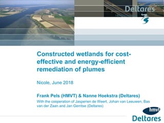 Constructed wetlands for cost-
effective and energy-efficient
remediation of plumes
Nicole, June 2018
Frank Pels (HMVT) & Nanne Hoekstra (Deltares)
With the cooperation of Jasperien de Weert, Johan van Leeuwen, Bas
van der Zaan and Jan Gerritse (Deltares)
 
