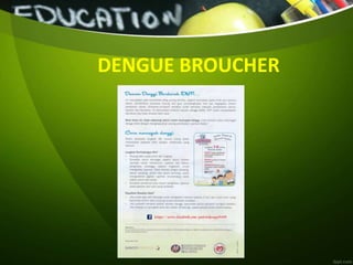 DENGUE BROUCHER
 