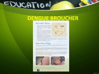 DENGUE BROUCHER
 