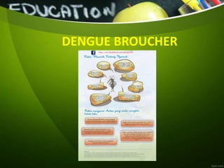 DENGUE BROUCHER
 