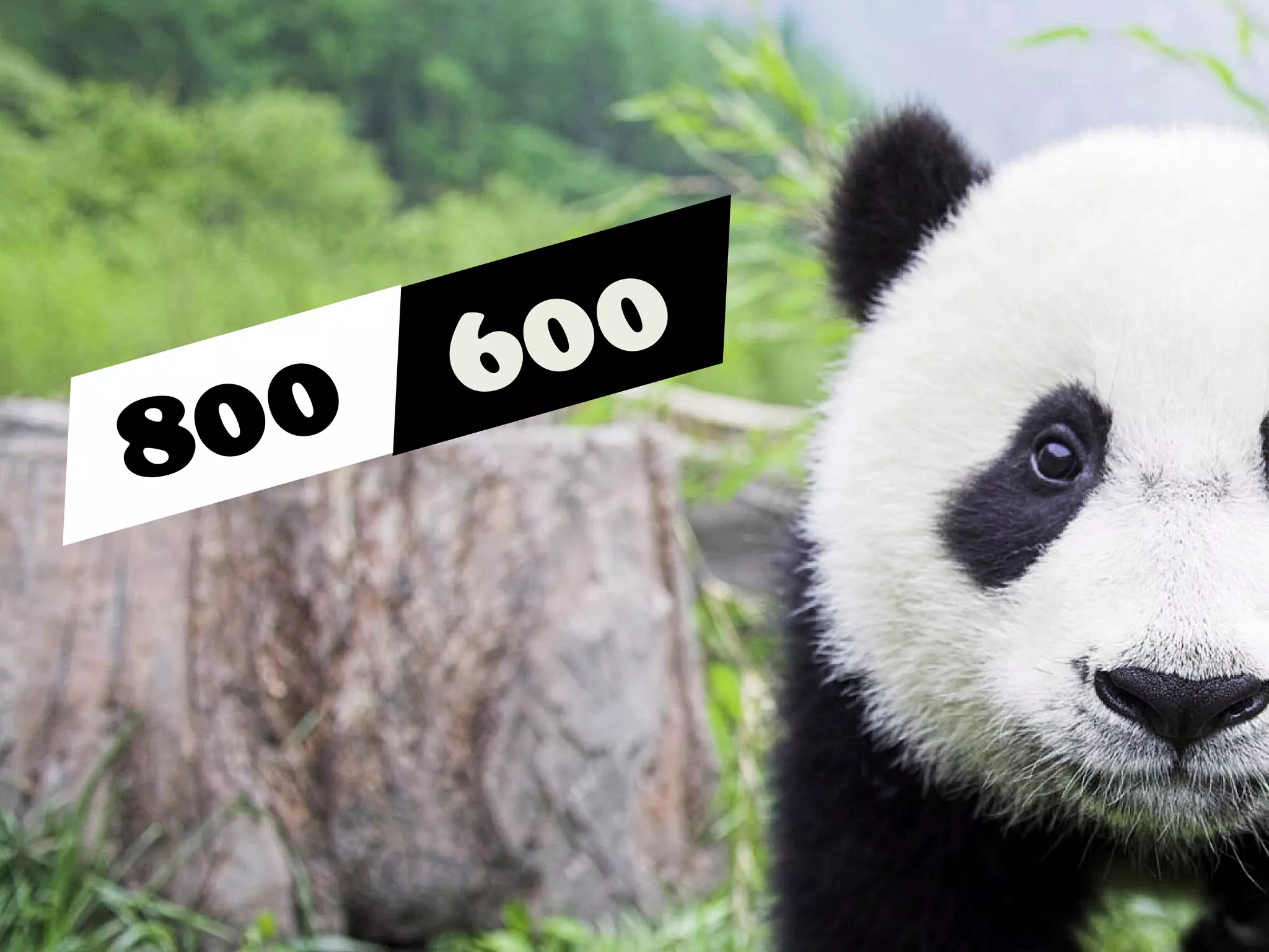 Is your job
Extinct?
 