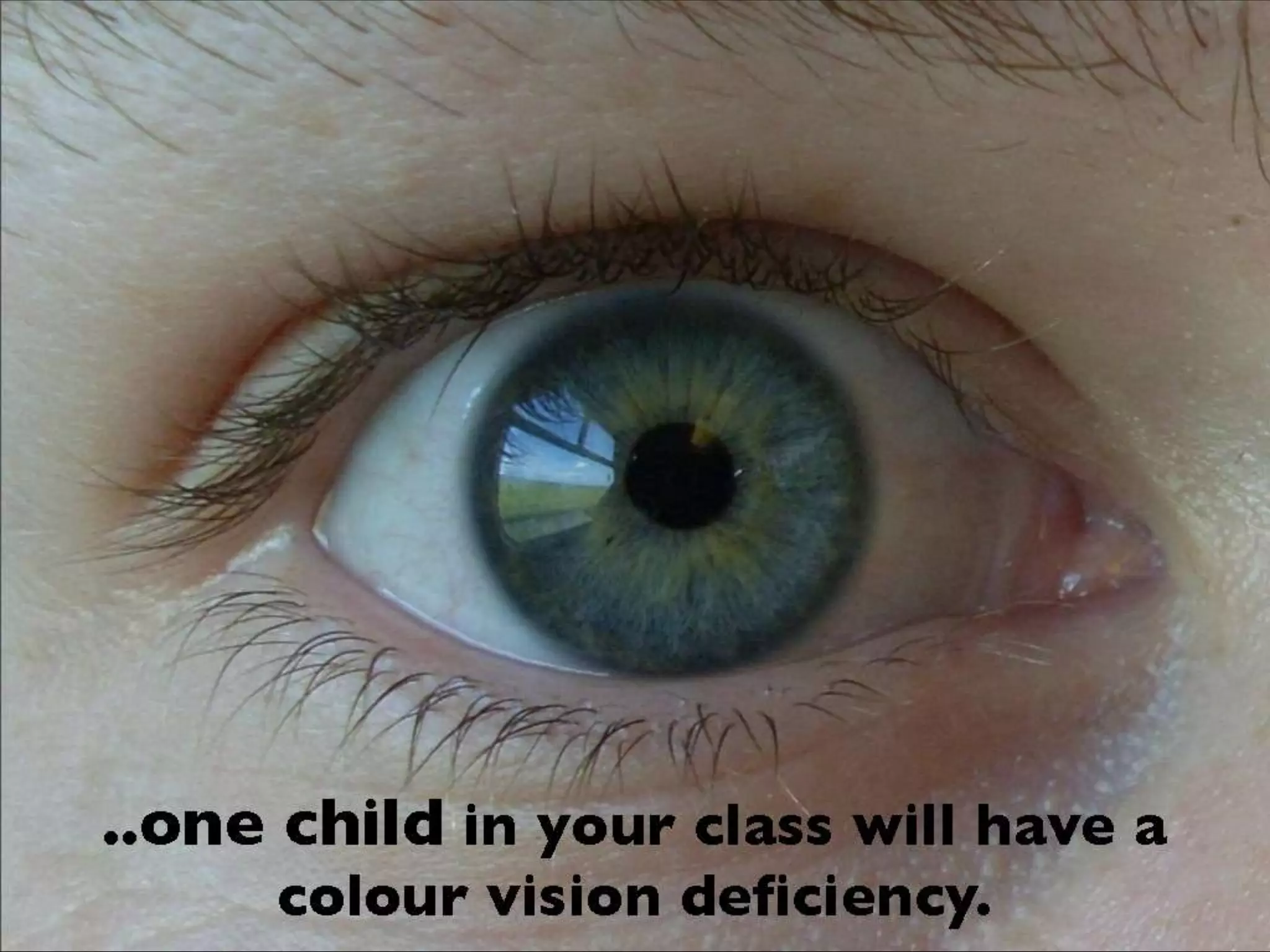 Add pictures to words