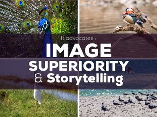 IMAGE
SUPERIORITY
It advocates :
& Storytelling
 