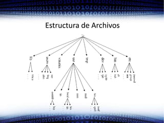 Estructura de Archivos