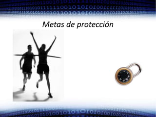 Metas de protección 