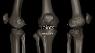 Joints
Kerim Sabic
 
