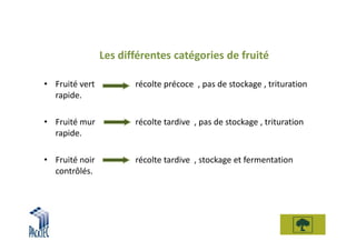 Les différentes catégories de fruité

• Fruité vert          récolte précoce , pas de stockage , trituration
  rapide.

• Fruité mur           récolte tardive , pas de stockage , trituration
  rapide.

• Fruité noir          récolte tardive , stockage et fermentation
  contrôlés.
 