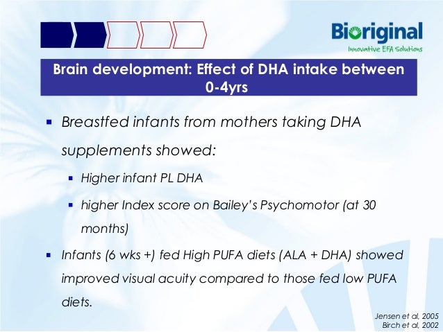 Dha Brain Function Dha Effects In Brain Development And Function – HKJDML