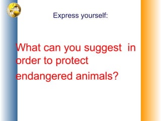 Express yourself:
What can you suggest in
order to protect
endangered animals?
 