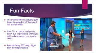 Fun Facts
 The small intestine is actually quite
large, it’s named small “because it
has a small width”
 Your GI tract keeps food going
down due to peristalsis, letting you
eat food even when your upside
down.
 Approximately 20ft long, bigger
than the large intestine
 