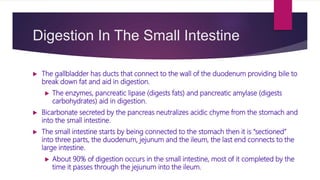 Digestion In The Small Intestine
 The gallbladder has ducts that connect to the wall of the duodenum providing bile to
break down fat and aid in digestion.
 The enzymes, pancreatic lipase (digests fats) and pancreatic amylase (digests
carbohydrates) aid in digestion.
 Bicarbonate secreted by the pancreas neutralizes acidic chyme from the stomach and
into the small intestine.
 The small intestine starts by being connected to the stomach then it is “sectioned”
into three parts, the duodenum, jejunum and the ileum, the last end connects to the
large intestine.
 About 90% of digestion occurs in the small intestine, most of it completed by the
time it passes through the jejunum into the ileum.
 