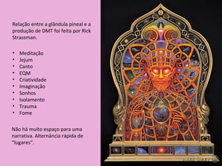 Relação entre a glândula pineal e a
produção de DMT foi feita por Rick
Strassman.
• Meditação
• Jejum
• Canto
• EQM
• Criatividade
• Imaginação
• Sonhos
• Isolamento
• Trauma
• Fome
Não há muito espaço para uma
narrativa. Alternância rápida de
“lugares”.
 