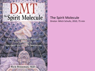 The Spirit Molecule
Diretor: Mitch Schultz, 2010, 75 min
 