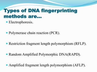 Types of DNA fingerprinting
methods are…
 Electrophoresis.
 Polymerase chain reaction (PCR).
 Restriction fragment length polymorphism (RFLP).
 Random Amplified Polymorphic DNA(RAPD).
 Amplified fragment length polymorphism (AFLP).
 