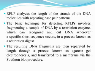  RFLP analyzes the length of the strands of the DNA
molecules with repeating base pair patterns.
 The basic technique for detecting RFLPs involves
fragmenting a sample of DNA by a restriction enzyme,
which can recognize and cut DNA wherever
a specific short sequence occurs, in a process known as
a restriction digest.
 The resulting DNA fragments are then separated by
length through a process known as agarose gel
electrophoresis, and transferred to a membrane via the
Southern blot procedure.
 