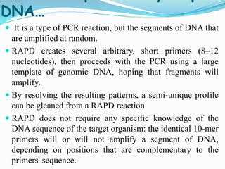DNA…
 It is a type of PCR reaction, but the segments of DNA that
are amplified at random.
 RAPD creates several arbitrary, short primers (8–12
nucleotides), then proceeds with the PCR using a large
template of genomic DNA, hoping that fragments will
amplify.
 By resolving the resulting patterns, a semi-unique profile
can be gleaned from a RAPD reaction.
 RAPD does not require any specific knowledge of the
DNA sequence of the target organism: the identical 10-mer
primers will or will not amplify a segment of DNA,
depending on positions that are complementary to the
primers' sequence.
 