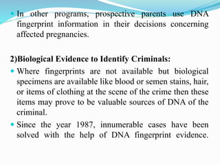  In other programs, prospective parents use DNA
fingerprint information in their decisions concerning
affected pregnancies.
2)Biological Evidence to Identify Criminals:
 Where fingerprints are not available but biological
specimens are available like blood or semen stains, hair,
or items of clothing at the scene of the crime then these
items may prove to be valuable sources of DNA of the
criminal.
 Since the year 1987, innumerable cases have been
solved with the help of DNA fingerprint evidence.
 