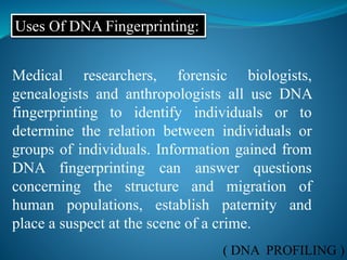 ( DNA PROFILING )
Uses Of DNA Fingerprinting:
Medical researchers, forensic biologists,
genealogists and anthropologists all use DNA
fingerprinting to identify individuals or to
determine the relation between individuals or
groups of individuals. Information gained from
DNA fingerprinting can answer questions
concerning the structure and migration of
human populations, establish paternity and
place a suspect at the scene of a crime.
 