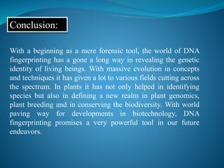 Conclusion:
With a beginning as a mere forensic tool, the world of DNA
fingerprinting has a gone a long way in revealing the genetic
identity of living beings. With massive evolution in concepts
and techniques it has given a lot to various fields cutting across
the spectrum. In plants it has not only helped in identifying
species but also in defining a new realm in plant genomics,
plant breeding and in conserving the biodiversity. With world
paving way for developments in biotechnology, DNA
fingerprinting promises a very powerful tool in our future
endeavors.
 