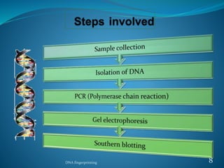 DNA fingerprinting 8
 