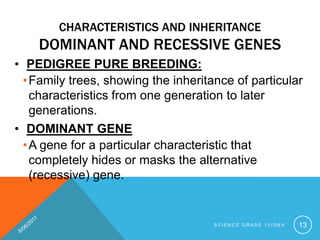 CHARACTERISTICS AND INHERITANCE
DOMINANT AND RECESSIVE GENES
• PEDIGREE PURE BREEDING:
•Family trees, showing the inheritance of particular
characteristics from one generation to later
generations.
• DOMINANT GENE
•A gene for a particular characteristic that
completely hides or masks the alternative
(recessive) gene.
S C I E N C E G R A D E 1 0 / D N A 13
 