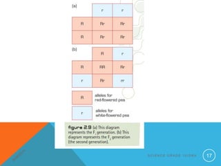 S C I E N C E G R A D E 1 0 / D N A 17
 