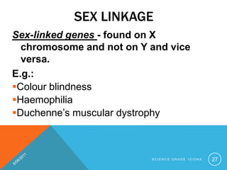 SEX LINKAGE
Sex-linked genes - found on X
chromosome and not on Y and vice
versa.
E.g.:
Colour blindness
Haemophilia
Duchenne’s muscular dystrophy
S C I E N C E G R A D E 1 0 / D N A 27
 