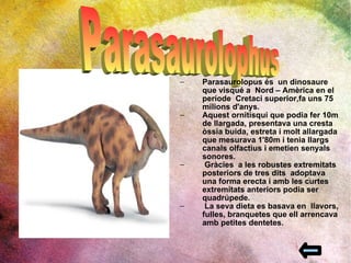 Parasaurolophus Parasaurolopus és  un dinosaure  que visqué a  Nord – Amèrica en el període  Cretaci superior,fa uns 75 milions d'anys.  Aquest ornitisqui que podia fer 10m de llargada, presentava una cresta òssia buida, estreta i molt allargada que mesurava 1'80m i tenia llargs canals olfactius i emetien senyals sonores. Gràcies  a les robustes extremitats posteriors de tres dits  adoptava una forma erecta i amb les curtes extremitats anteriors podia ser quadrúpede.  La seva dieta es basava en  llavors, fulles, branquetes que ell arrencava amb petites dentetes. 