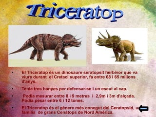 El Triceratop és un dinosaure seratopsit herbívor que va viure durant  el Cretaci superior, fa entre 68 i 65 milions d'anys. Tenia tres banyes per defensar-se i un escut al cap. Podia mesurar entre 8 i 9 metres  i  2,9m i 3m d'alçada. Podia pesar entre 6 i 12 tones. El Triceratop és el gènere més conegut del Ceratopsid, una família  de grans Cenàtops de Nord América.  Triceratop  