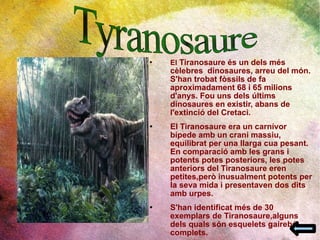 El  Tiranosaure és un dels més cèlebres  dinosaures, arreu del món. S'han trobat fòssils de fa aproximadament 68 i 65 milions d'anys. Fou uns dels últims dinosaures en existir, abans de l'extinció del Cretaci.  El Tiranosaure era un carnívor bípede amb un crani massiu, equilibrat per una llarga cua pesant. En comparació amb les grans i potents potes posteriors, les potes anteriors del Tiranosaure eren petites,però inusualment potents per la seva mida i presentaven dos dits amb urpes. S'han identificat més de 30 exemplars de Tiranosaure,alguns dels quals són esquelets gairebé complets. Tyranosaure 