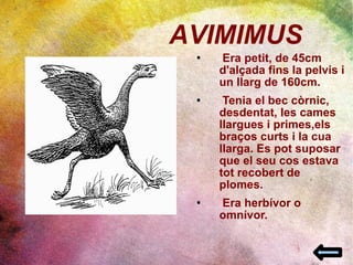 Era petit, de 45cm d'alçada fins la pelvis i un llarg de 160cm.  Tenia el bec còrnic, desdentat, les cames llargues i primes,els braços curts i la cua llarga. Es pot suposar que el seu cos estava tot recobert de plomes. Era herbívor o omnívor.  AVIMIMUS 