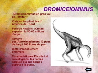 DROMICEIOMIMUS Dromiceiomimus en grec vol dir  “imitar “  Vivia en les planícies d' Amèrica del  nord. Període Històric  :Cretaci superior, fa 80-65 milions d'anys. Tamany i pes:Aproximadament 12 peus de llarg i 200 libres de pes. Dieta :Probablement omnívors Característiques:Els ulls i el cervell grans, les cames llargues i la cua llarga i estreta a la punta. 