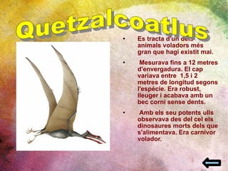 Es tracta d'un dels animals voladors més gran que hagi existit mai. Mesurava fins a 12 metres d'envergadura. El cap  variava entre  1,5 i 2 metres de longitud segons l'espècie. Era robust, lleuger i acabava amb un bec corni sense dents. Amb els seu potents ulls observava des del cel els dinosaures morts dels que s'alimentava. Era carnívor volador. Quetzalcoatlus 
