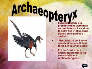 L'Archaeopterix era probablement la primera  au prehistòrica i  va viure fa entre 155 i 150 milions  d'anys en el pedíode Juràsic. Mesurava 35 cm i no es coneix si tenia suficient força per volar alt o baix.  Era de l' ordre dels Archaeopteriformes i la seva família era Archeopterigidae. Archaeopteryx 