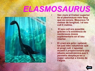 ELASMOSAURUS Van viure al Cretaci superior és el plesiosaure més llarg que es coneix. Mesurava 14 metres de longitud, i el seu coll 8 metres. El seu coll era possible gràcies a la existència de nombrosos óssos suplementaris en el seu interior. El crani era prim i aplanat, tot just més voluminós que el propi coll. L'apuntat  musell li proporcionava una silueta aerodinàmica,que li permetia desplaçar-se a major velocitat a través de l'aigua.  