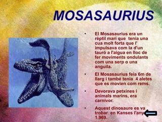 MOSASAURIUS El Mosasaurius era un rèptil marí que  tenia una cua molt forta que l' impulsava com la d'un tauró a l'aigua en lloc de fer moviments ondulants  com una serp o una anguila. El Mosasaurius feia 6m de llarg i també tenia  4 aletes que es movien com rems. Devorava petxines i  animals marins, era carnívor. Aquest dinosaure es va trobar  en Kanses l'any 1.969. 